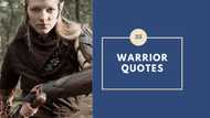 Top warrior quotes that will inspire you for great deeds