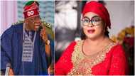 President Tinubu’s FG sues ex-Aviation Minister Stella Oduah, reason revealed