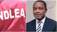 NDLEA Ta Bankado Kudi N20bn Mallakin Wani Shahrarren Dan Kasuwa a Legas