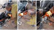 "The engine will knock": Man pours bottle of palm oil into his motorcycle, uses it as lubricant