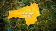 Insecurity: Zamfara Emirate signs peace deal with terror Kingpin, Ali Kachalla