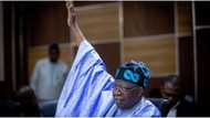 Atiku, Tinubu or Obi: Famous prophet reveals prominent candidate that will win 2023 presidency