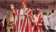 Elections: 6 Things Peter Obi Will Do Differently, LP House of Reps Aspirant Reveals