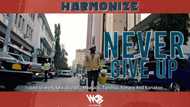 Harmonize X Milly Nanace - Never Give Up remix: Is it better than the original?