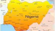 A new map of Nigeria? Buhari's govt to begin major review