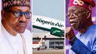 FG pushes to launch Nigeria Air before Tinubu takes over, as experts identify issues that may stop the plan