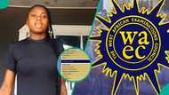 WAEC 2026: Nigerian girl reacts to D7 in English language, shares next line of action