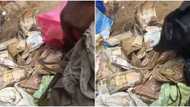 Money dey dat business: People shocked as beggar is discovered with bundles of cash in Lagos, video goes viral