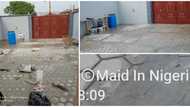 Maid in Nigeria: Lady showcases her cleaning business without shame, her business name stirs reactions