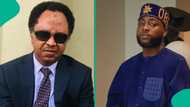 Davido ya ballo aiki, Shehu Sani ya tanka kan kai batun zaben Osun gaban Trump