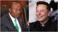 Cryptocurrency: As CBN defends ban, world's richest man Elon Musk invests N571bn