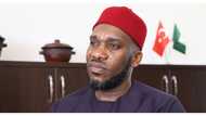 Super Eagles legend Okocha opens up on failed business venture with partner who allegedly blackmailed him