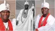 Ooni of Ife celebrates 5 years on his throne with majestic photos