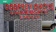 Godfrey Okoye university secures N90 million DAAD grant for sustainable entrepreneurship