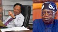 Shehu Sani ya yi martani kan kyautar da Tinubu ya bayar na N50n ga 'yan Zamfara