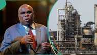 Afreximbank ready to support more Africans in building refineries like Dangote