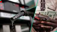 FG warns naira could crash if fuel subsidy returns