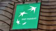 Shares in French bank BNP Paribas plummet after US verdict