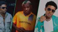 "From your mouth?" Danny Young says Fuji is dead, tells Portable, Small Doctor to go back to it