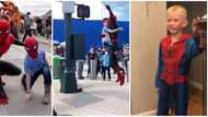 Spider-Man fan who saved little sister from brutal dog attack 'flies' with the real actor on set in cute video
