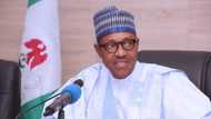 Infra-Co: Buhari okays establishment of trillion naira firm