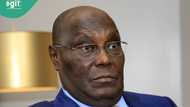 Breaking: Atiku sends strong message to PDP supporters ahead of Bayelsa, Imo, Kogi guber polls