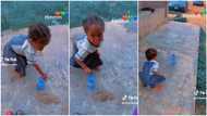 “This baby get bright future”: Little girl’s bottle-flipping skill makes her internet sensation, video trends