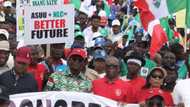 No work, no-pay rule: NLC backs ASUU on salary arrears, issues fresh threat