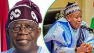 Fresh twist as Tinubu allegedly tips Ganduje for ambassadorial appointment, details emerge