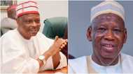 “You can’t look me in the face,” Kwankwaso replies ex-Gov Ganduje’s slap threat