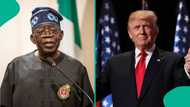 Breaking: Tension as Trump threatens military action against Nigeria after Tinubu's response