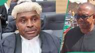 BREAKING: Kenneth Okonkwo finally dumps Peter Obi, Labour Party, gives reasons