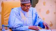 No part of Nigeria will be neglected - Buhari says as he commissions important project in southeast