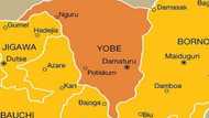 'Yan Boko Haram sun kashe ɗalibai 167 da malaman makaranta 3 a Yobe, Gubana