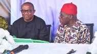 2023 Election: 3 Reasons Obasanjo's endorsement will gather little or no votes for Peter Obi