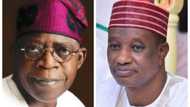 Babban abin da ya sa aka shirya Maulidin Tinubu a jihar Kano – Jigon Kwankwasiyya