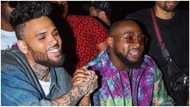 Mixed reactions as Davido drops new song with American singer Chris Brown