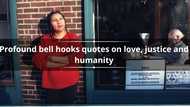 65 profound bell hooks quotes on love, justice and humanity