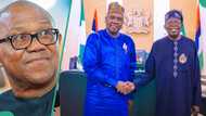 Obi has abandoned presidential ambition for Atiku, presidency alleges