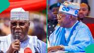Breaking: Atiku backs APC senator over security funds, raises fresh allegations against Tinubu