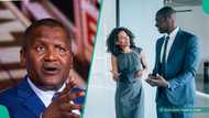 Dangote announces 2025 management trainee programme, releases key requirements to qualify