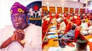 BREAKING: Senate screens 20 ministerial nominees of Tinubu, details emerge