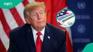 US releases list of 5 categories of workers eligible for employment-based Green Cards