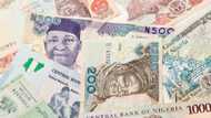 CBN to reduce naira notes in circulation, gives 1 reason