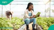 Apply: Nigerian bank opens application for N20m grant, lists requirements, target beneficiaries