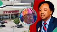 “Tinubu should beg them”: Shehu Sani reacts as Shoprite moves to end operations in Kano