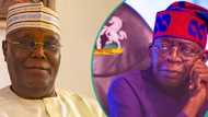 APC chieftain reacts as US court orders CSU to release Tinubu’s records to Atiku: “Ajasco dance”