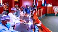 National convention: APC battles consensus crisis as President Buhari, governors set to meet over list