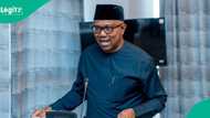 Peter Obi ya nuna damuwa kan gargadin da Majalisar ɗinkin duniya ta yi wa Arewacin Najeriya