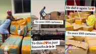 "8 figures sitting pretty": Lady rejoices after importing over 100 cartons of goods in big container